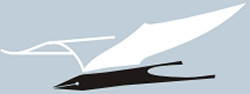 Логотип СНИ, Сибирский независимый институт