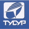Логотип Нефтеюганский филиал ТУСУР, Нефтеюганский филиал Томского государственного университета систем управления и радиоэлектроники